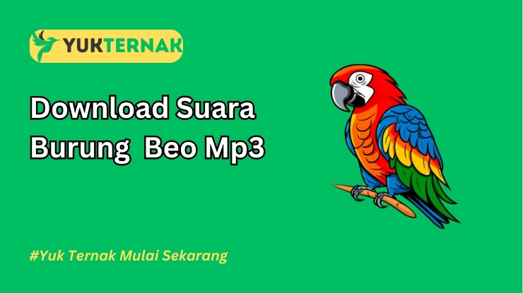 Suara Burung Beo