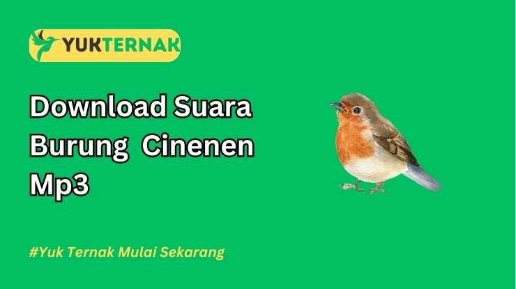 Suara Burung Cinenen