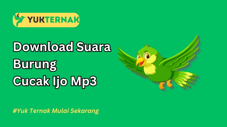 Suara Burung Cucak Ijo