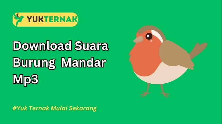 Suara Burung Mandar