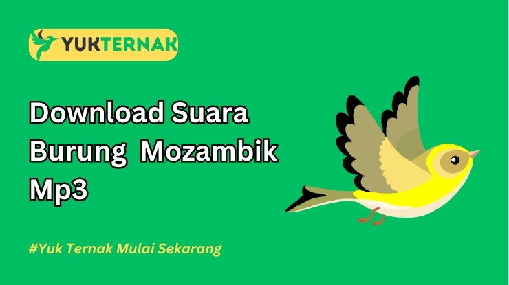 Suara Burung Mozambik