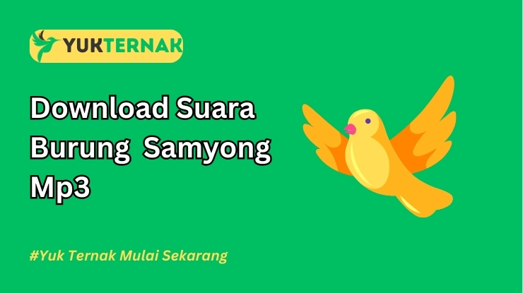 Suara Burung Samyong